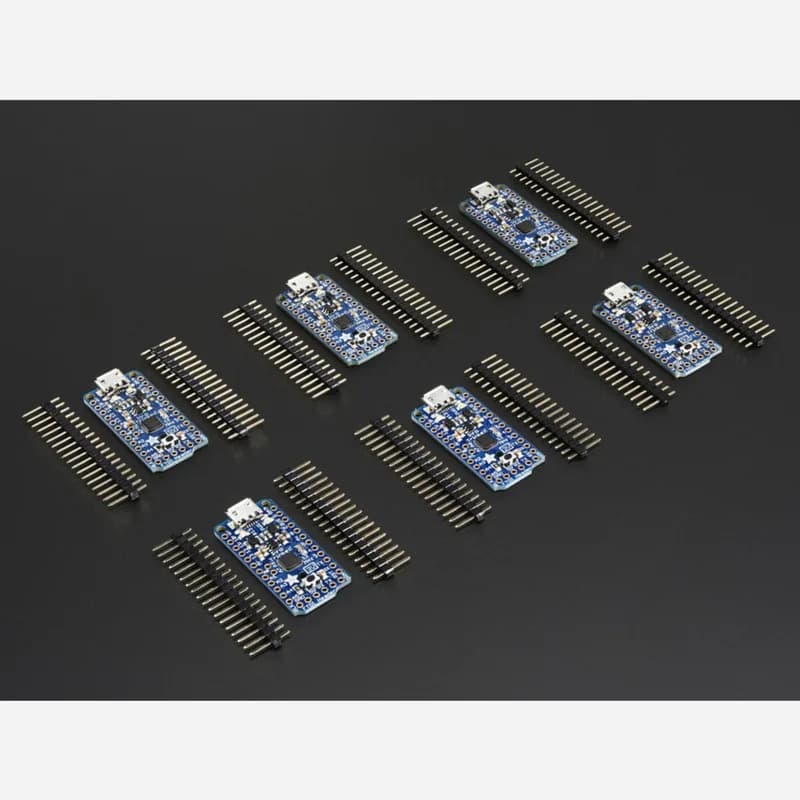 Брелок Adafruit Pro, 6 шт. — 3 брелока по 3 В и 3 брелка по 5 В